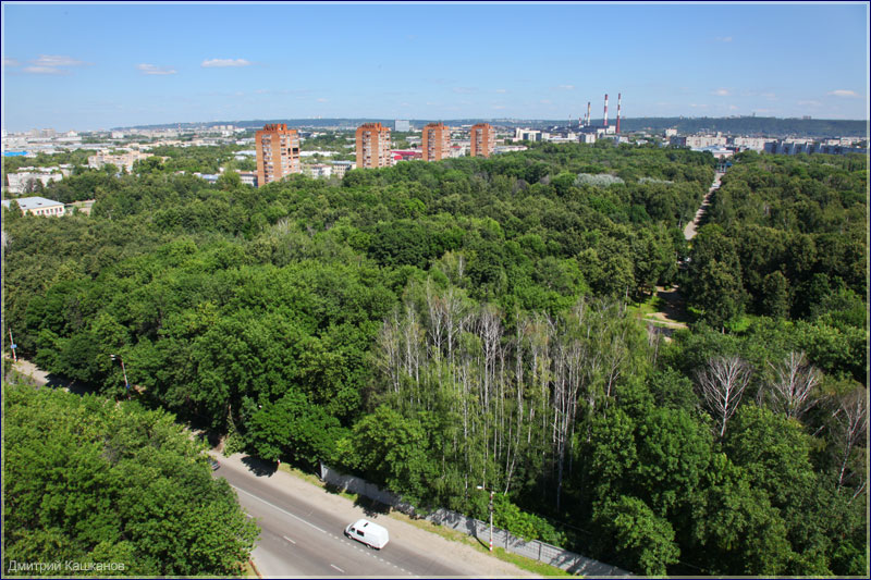Вид сверху лучше. Автозаводский парк Нижнего Новгорода. Фото