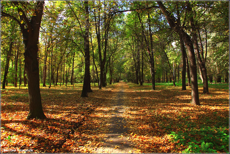 Заброшенная аллея. Автозаводский парк. Осенний парк. Фото Дмитрия Кашканова