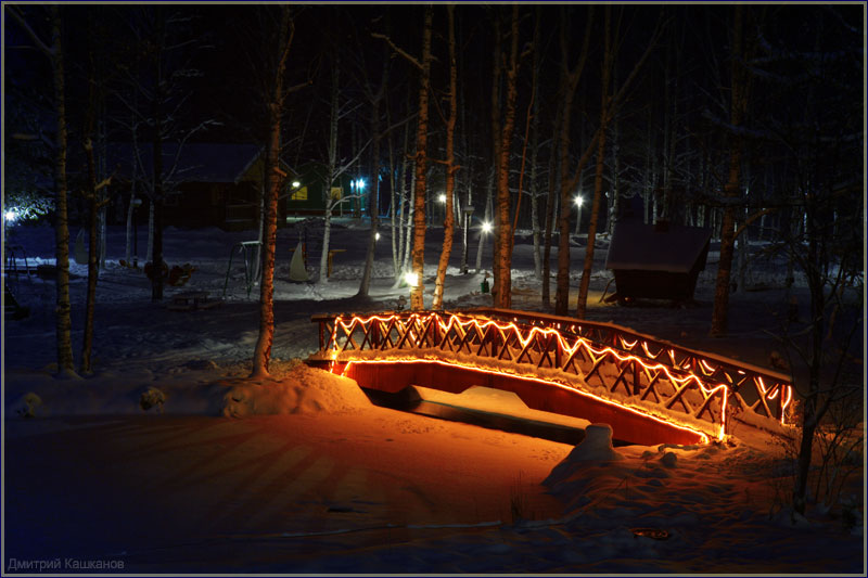 Красивый зимний лес. Мостик. Фото. Новогодние открытки