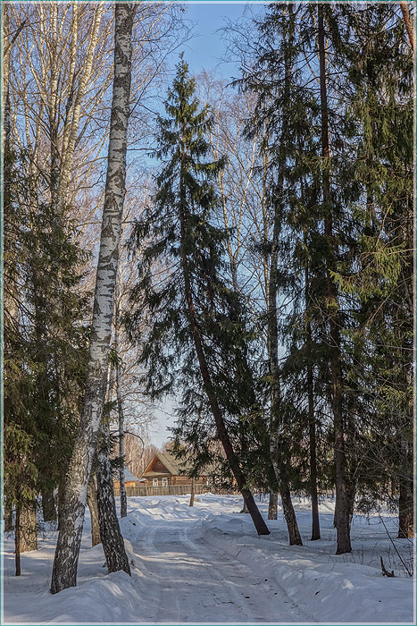 Зимняя дорога в деревню через лес
