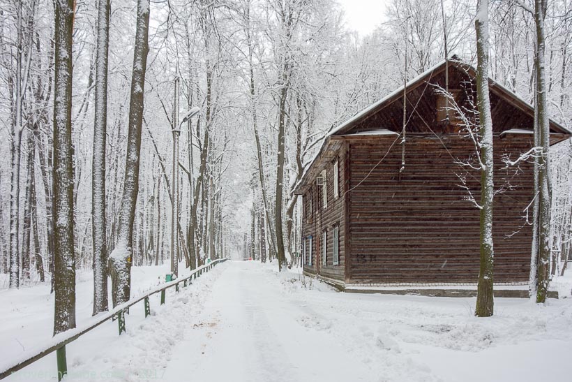 Деревянный дом в заснеженном лесу