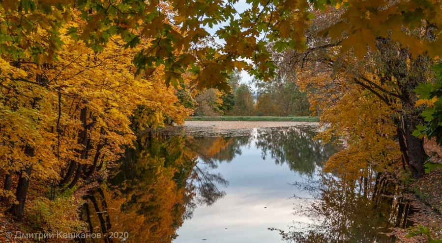 Болдинская осень. Нижний пруд. Вечернее фото