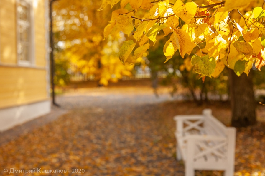 Болдинская осень. Фото с листьями на фоне усадьбы