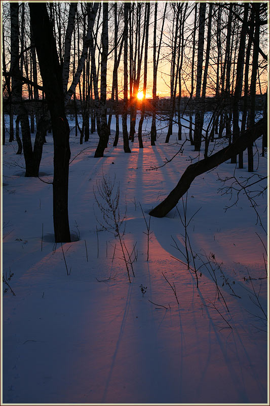 Закат солнца в березовой роще. Свет и тень в зимних пейзажах