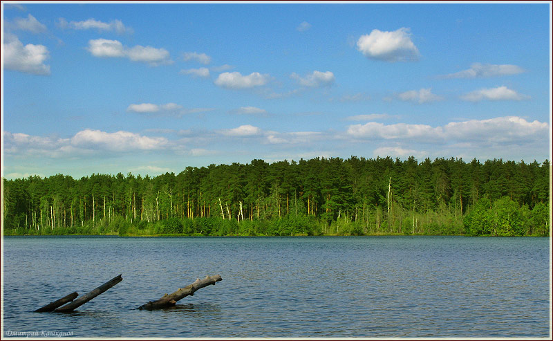 Свято озеро у п. Тумботино. Самые красивые фото лета 2011