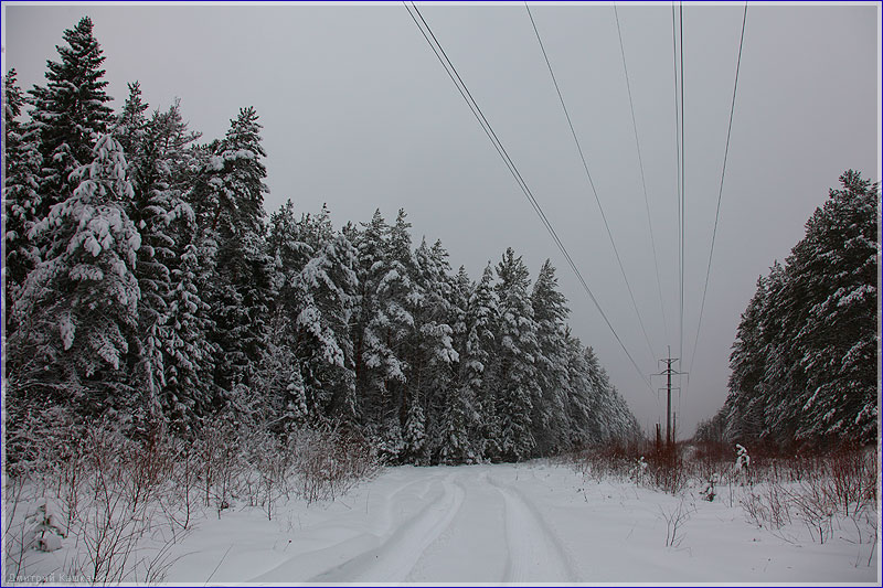 Зимние сумерки. Высоковольтная линия в лесу. Фото